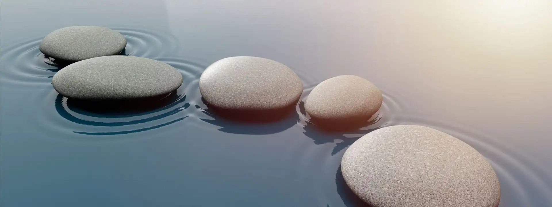 smooth rock path made up of five stepping stones in a ripple pool